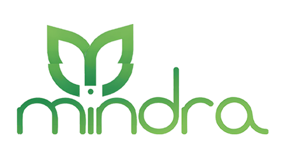 Mindra Media logo